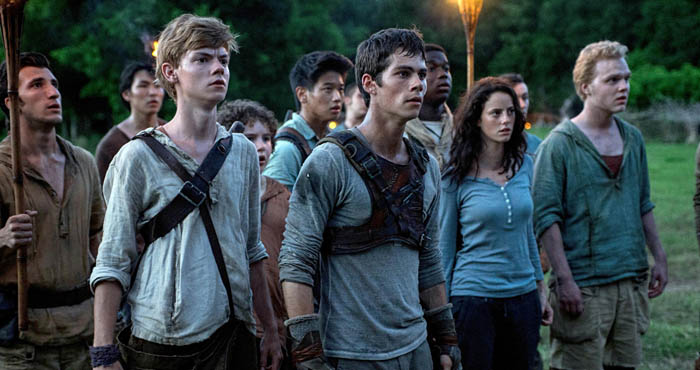 The Maze Runner