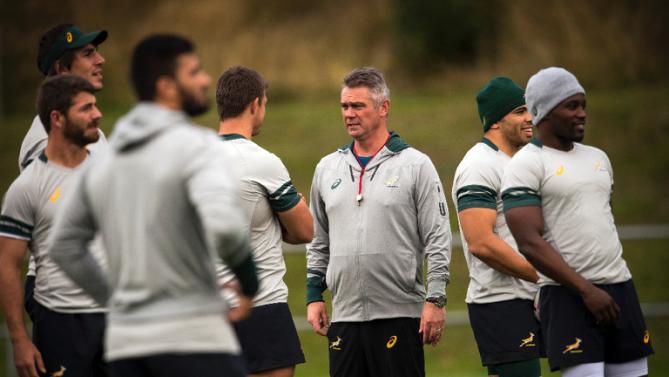 Springboks training