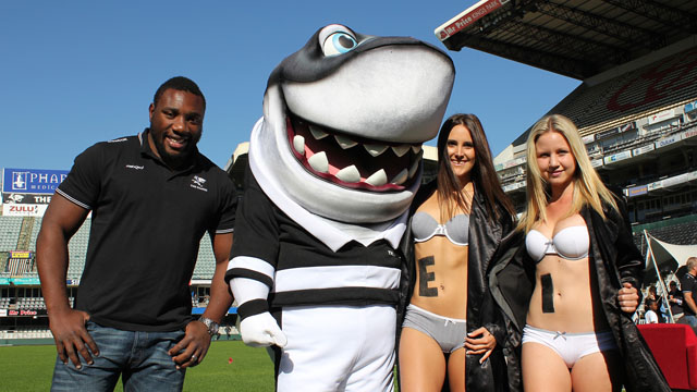 Sharkie and the Sharks girls