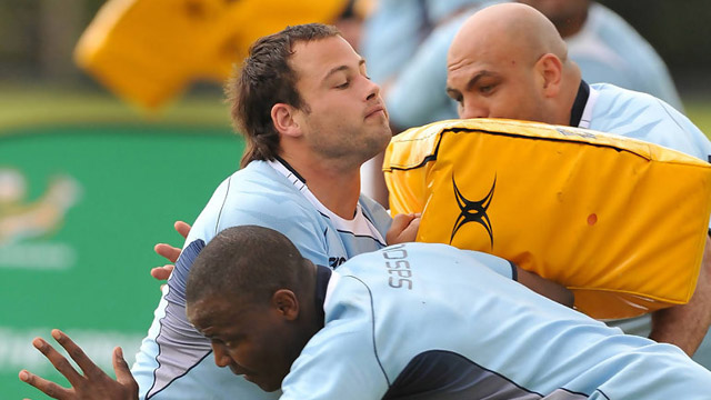 Springbok Training 1