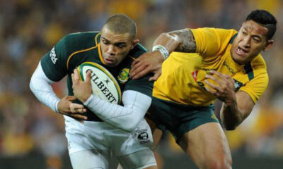 Springboks vs Wallabies