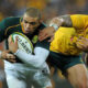 Springboks vs Wallabies