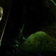 Alien Isolation header