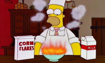 Homer cooking