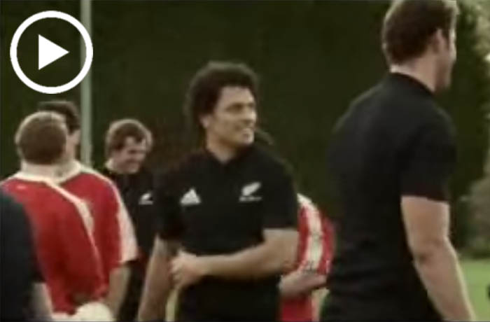 All Blacks British Lions Bulldog