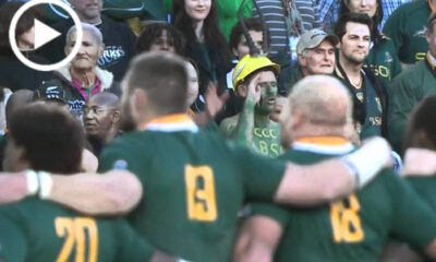 Springbok fans