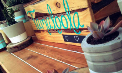 Tamaloola header pic