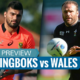 Springboks vs Wales preview