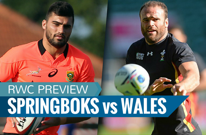 Springboks vs Wales preview