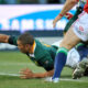 Bryan Habana Lions