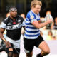 Western Province Sharks