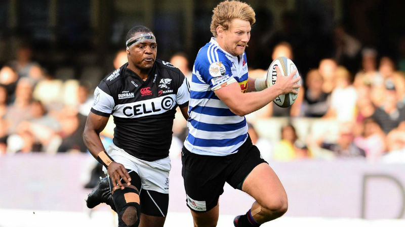 Western Province Sharks