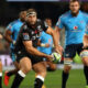 Thomas du Toit Sharks