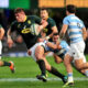 Springboks Argentina