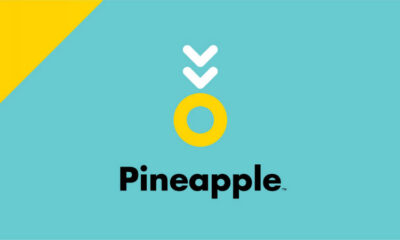 PIneapple app header