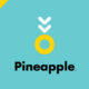 PIneapple app header