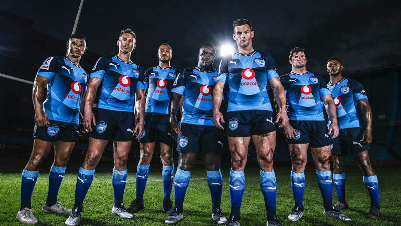 blue bulls rugby jersey 2019