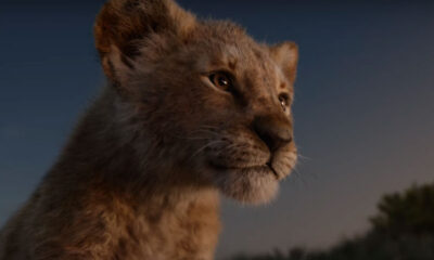 Lion King movie 2019