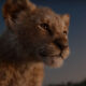 Lion King movie 2019