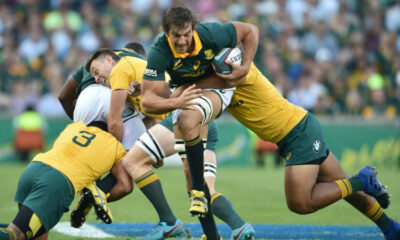 Springboks Wallabies
