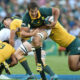 Springboks Wallabies